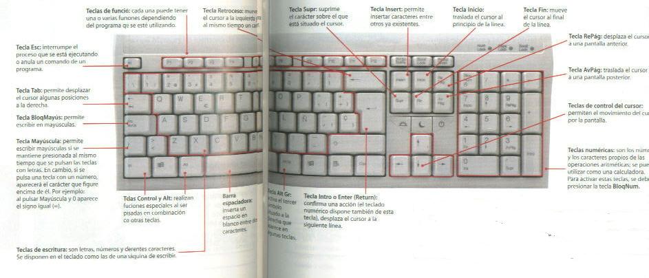 Teclado Del Ordenador Tipos Partes Y Atajos